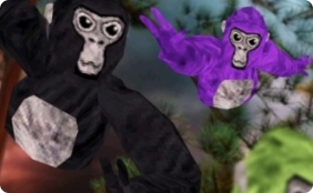 VR Gorilla tag(술래잡기)