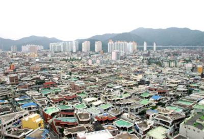 동사진